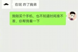 北镇为什么选择专业追讨公司来处理您的债务纠纷？